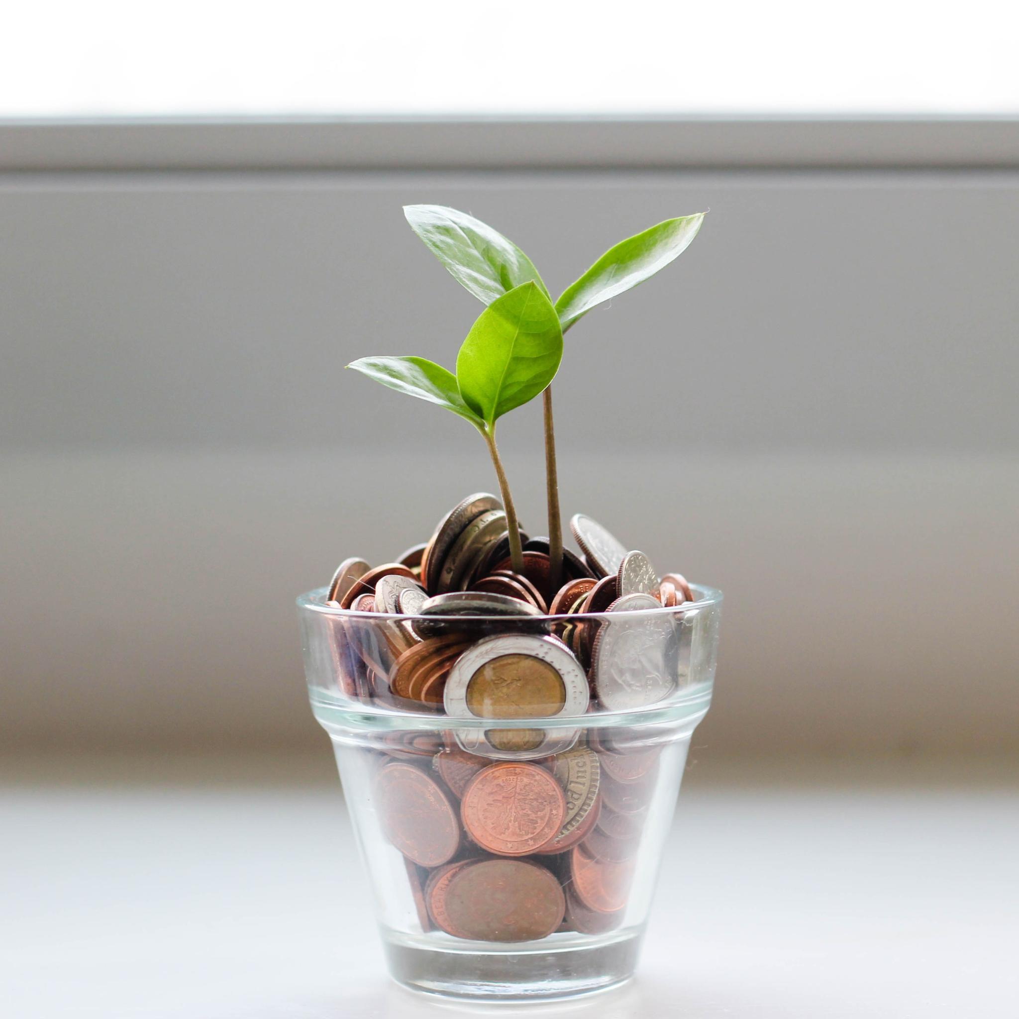 2023_03_geld-micheile-henderson-SoT4-mZhyhE-unsplash