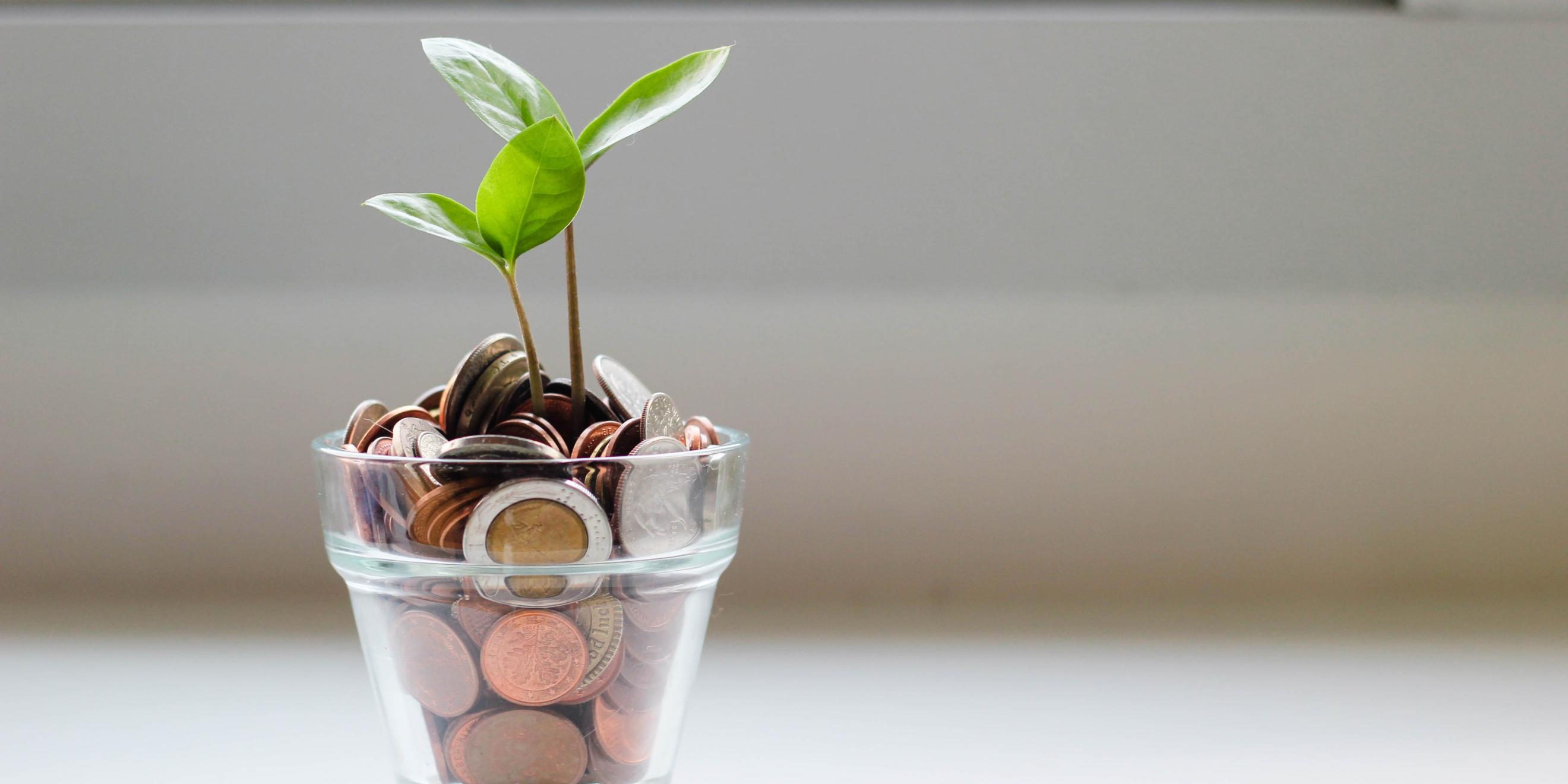 2023_03_geld-micheile-henderson-SoT4-mZhyhE-unsplash