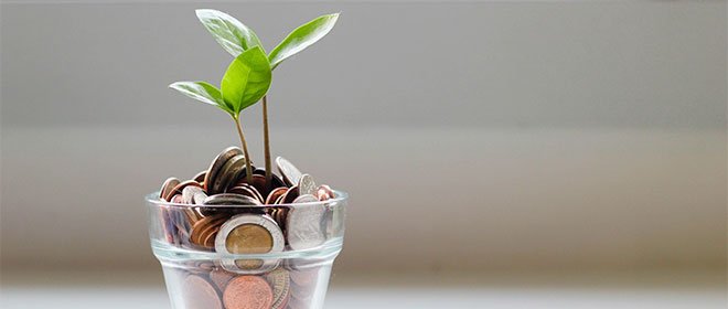 Eine Pflanze wächst aus Geld