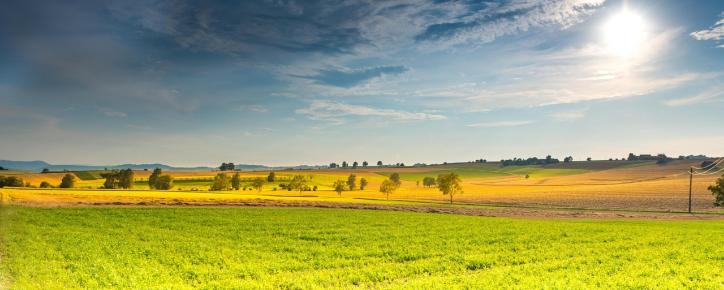 Impulse für die Fastenzeit