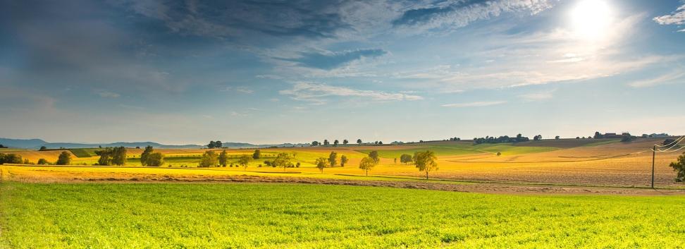 Impulse für die Fastenzeit