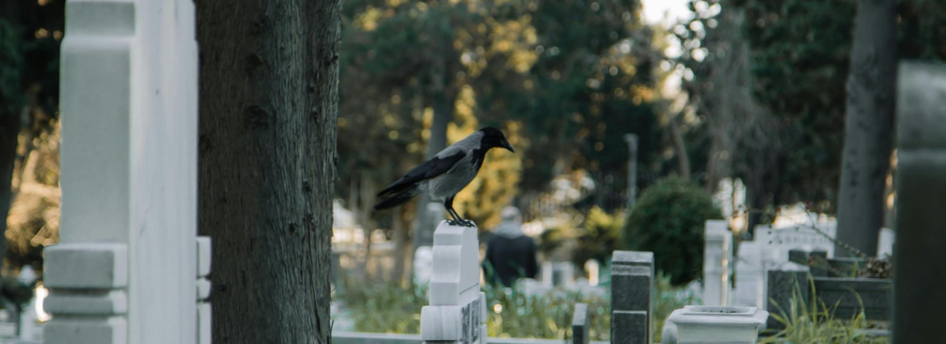 Wie Gesellschaft mit den Toten umgeht