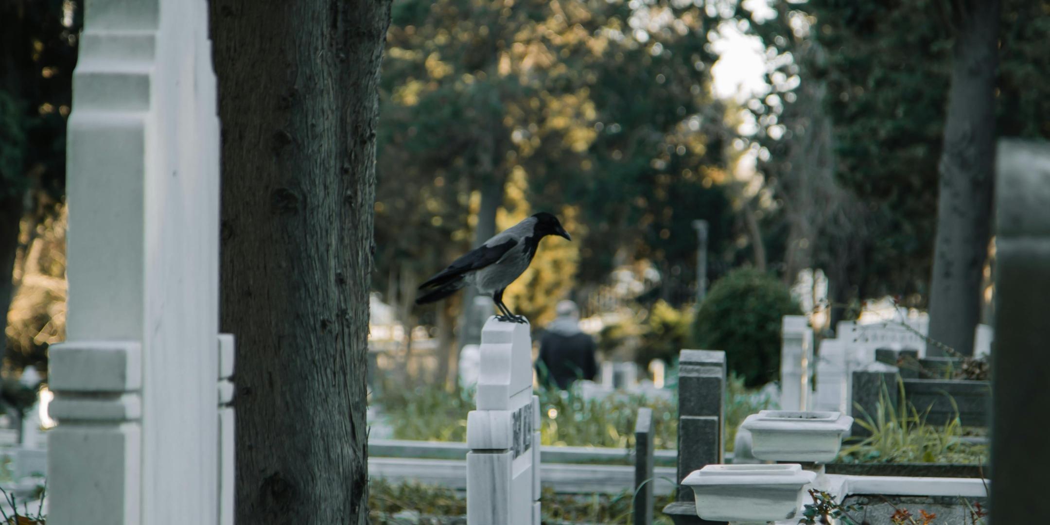 Wie Gesellschaft mit den Toten umgeht