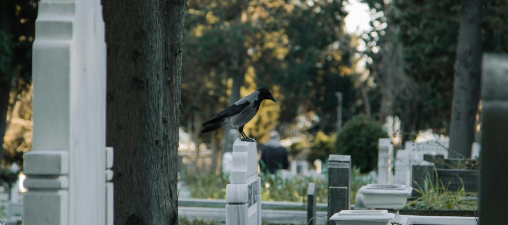 Wie Gesellschaft mit den Toten umgeht