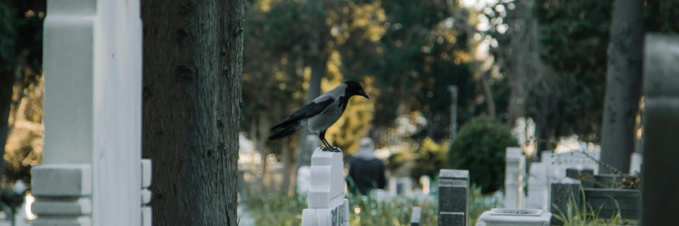Wie Gesellschaft mit den Toten umgeht