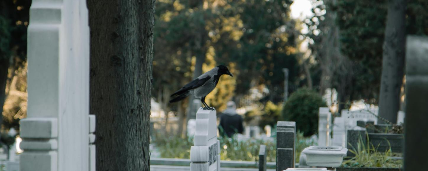 Wie Gesellschaft mit den Toten umgeht